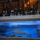 세븐일레븐 청주용정원룸점 | [공지] 스시고니 청주 가성비 좋은 기념일 코스요리 오마카세