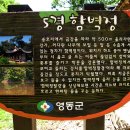 충북 영동군 (양산8경) 이미지