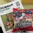 로데오 삼거리~덕이고 옆 삼거리 | 🏷️ • 4 月 세 번째 주머니