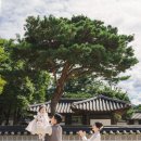 일생에 한번 뿐인 우리아기 돌스냅 후기(전주 한옥마을 돌스냅, YS스냅)