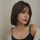 어뮤트 네이버블로그