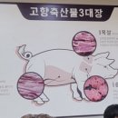 한가득축산물 - 부천시 소사구 경인로 101 | 한가득축산물