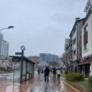 [안양/동편마을] 안양 동편마을 분위기 좋은 디저트맛집 버터앙금 - 휘낭시에&amp;버터떡까지 맛있는 카페 후기