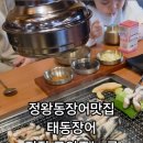 태동장어 이미지