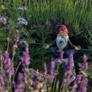 비금정고운정 이미지