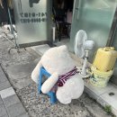 부경세탁소 이미지