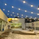 타타스베이글두정 이미지