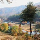 산과수원민박