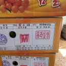 제주 유라실생 맛잇는 귤드셔요 이미지