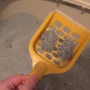 오원석 황금동물병원 이미지