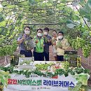 샤인커머스
