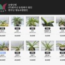 한국춘란전문난원