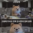 꽃카