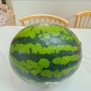 달감마트 이미지