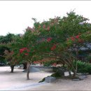 표충사호국박물관 이미지