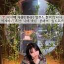 미사역 술집 추천 미사 맛집 일본식 이자카야 풍바오 솔직후기