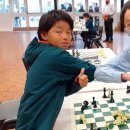 마운트에서 열린 뉴질랜드 전국 체스대회의 열기 이미지