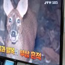 배산농장 이미지