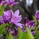 청천마을회관 이미지