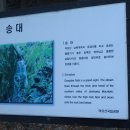무주 마실 티스토리