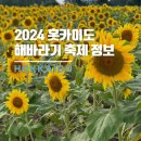 버스정류장 06-060 | 홋카이도 가볼만한 곳 '호쿠류초 해바라기 마을 축제' 가는방법, 후기 (히마와리 마쯔리)