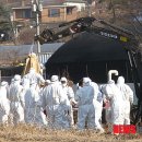 화성양계장 이미지