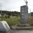 용미3리 Daum카페