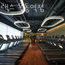 하이랙스 이미지