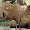 혹불이 영감 이미지