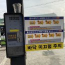 자이자동차세상 이미지