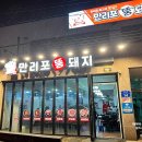 만리포뚱돼지 이미지