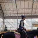 어린이 자세교정(초1-3) | 비스타밸리 어린이 승마수업 후기 초3·초1 아이들의 주말 체험 리뷰