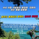 2025.03월1~2/47회차 여수 금오도~여수관광(진행완료) 이미지