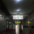 수지로얄약국 네이버블로그