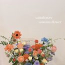 청담동 - 강릉시 | 청담동