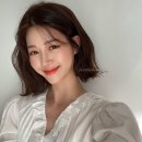 베르트본태 네이버블로그