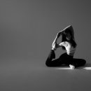 서유2호 이미지