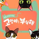 유튜브 콘텐츠 제작(심화) 이미지