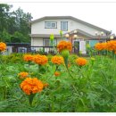 향기가득 이미지