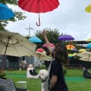 독플레이스 이미지