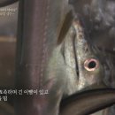 군령포하모자연산횟집
