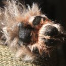 다가온동물병원 이미지