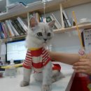 민트동물병원 이미지