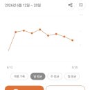 찌다 | B13. 마운자로 맞고 살찌다!?_나만의닥터_내돈내산_마운자로_다이어트 주사_처방_일주일치 기록