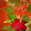 낮과밤사이 이미지