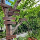 인애노인의집 이미지