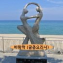 아름답개 이미지