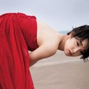 고리키 아야메 카카오 검색결과