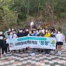 청정프로젝트