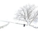 동심 - 동대문구 전농로 11 | 동심